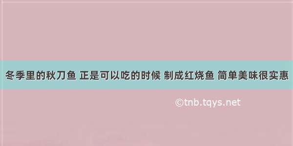 冬季里的秋刀鱼 正是可以吃的时候 制成红烧鱼 简单美味很实惠