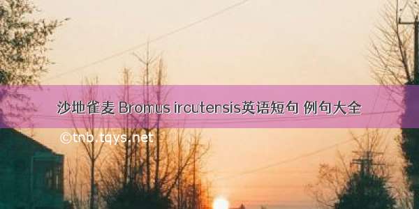 沙地雀麦 Bromus ircutensis英语短句 例句大全