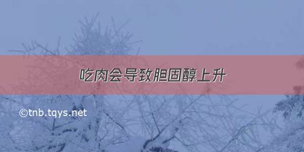 吃肉会导致胆固醇上升