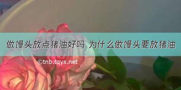 做馒头放点猪油好吗 为什么做馒头要放猪油