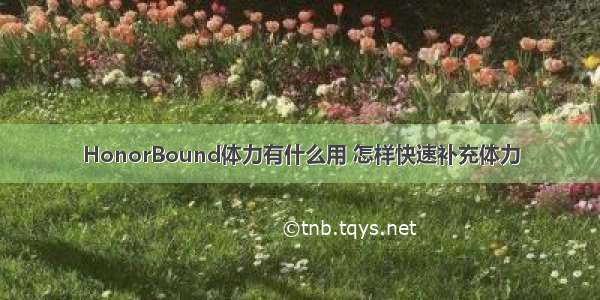 HonorBound体力有什么用 怎样快速补充体力