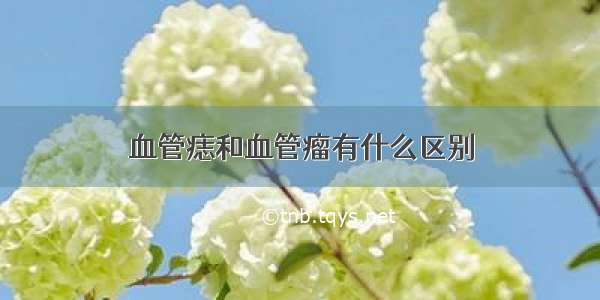 血管痣和血管瘤有什么区别