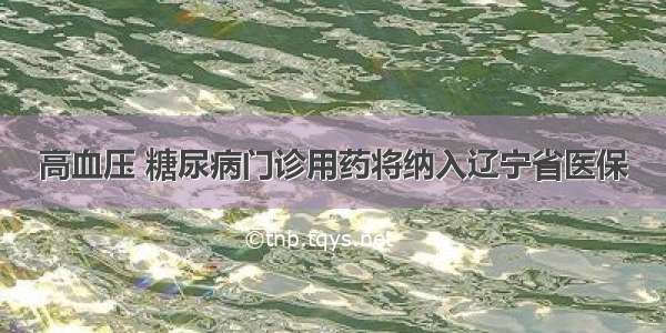 高血压 糖尿病门诊用药将纳入辽宁省医保