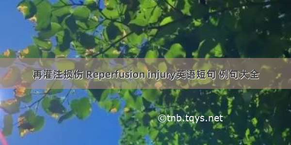 再灌注损伤 Reperfusion injury英语短句 例句大全