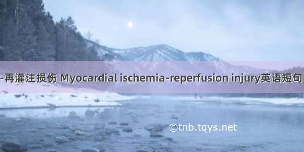 心肌缺血-再灌注损伤 Myocardial ischemia-reperfusion injury英语短句 例句大全