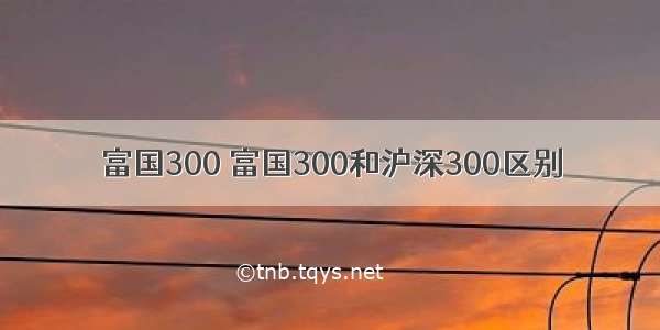 富国300 富国300和沪深300区别