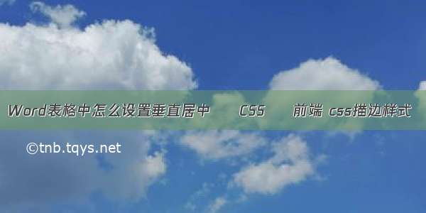 Word表格中怎么设置垂直居中 – CSS – 前端 css描边样式