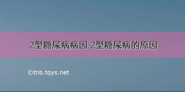 2型糖尿病病因 2型糖尿病的原因