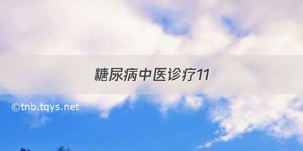 糖尿病中医诊疗11