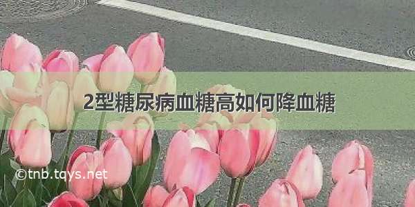 2型糖尿病血糖高如何降血糖