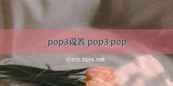 pop3设置 pop3 pop