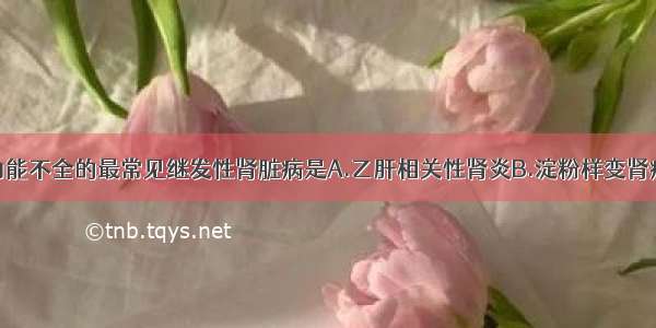 引起慢性肾功能不全的最常见继发性肾脏病是A.乙肝相关性肾炎B.淀粉样变肾病C.糖尿病肾