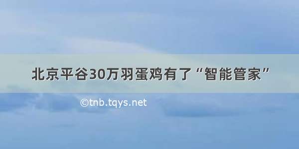 北京平谷30万羽蛋鸡有了“智能管家”