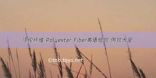 涤纶纤维 Polyester Fiber英语短句 例句大全