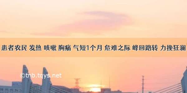 患者农民 发热 咳嗽 胸痛 气短1个月 危难之际 峰回路转 力挽狂澜