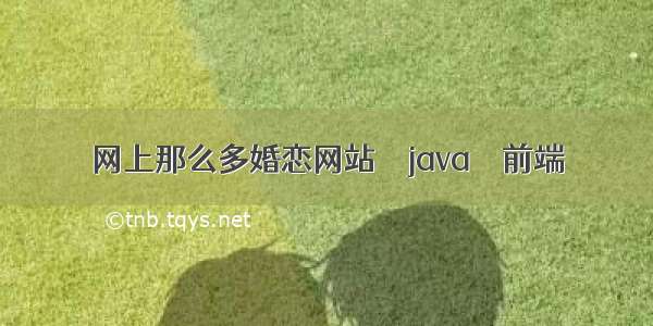 网上那么多婚恋网站 – java – 前端