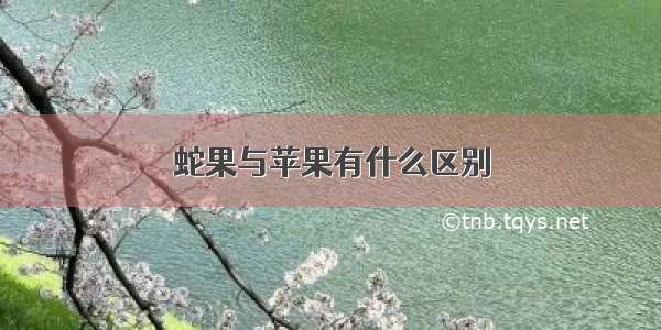 蛇果与苹果有什么区别