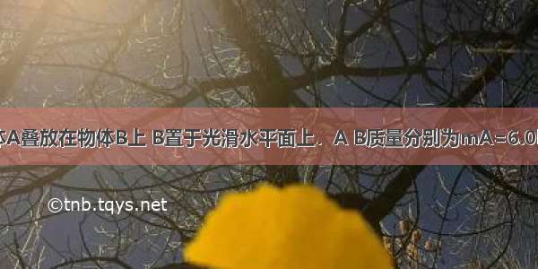 如图所示 物体A叠放在物体B上 B置于光滑水平面上．A B质量分别为mA=6.0kg mB=2.0k