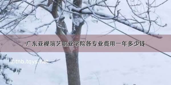 广东亚视演艺职业学院各专业费用一年多少钱