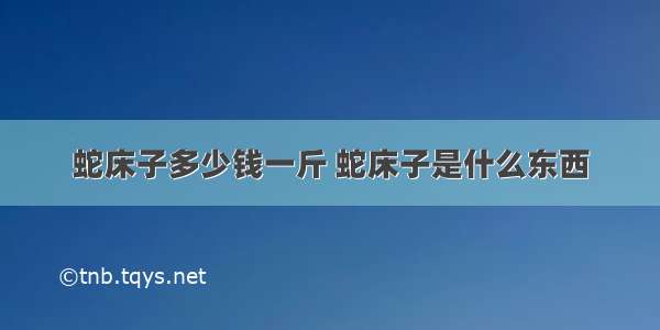 蛇床子多少钱一斤 蛇床子是什么东西