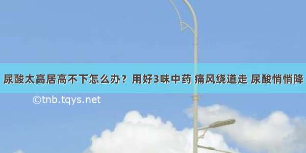 尿酸太高居高不下怎么办？用好3味中药 痛风绕道走 尿酸悄悄降