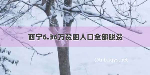 西宁6.36万贫困人口全部脱贫