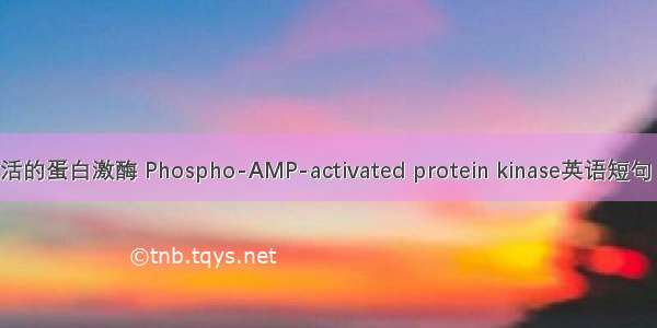 腺苷酸激活的蛋白激酶 Phospho-AMP-activated protein kinase英语短句 例句大全