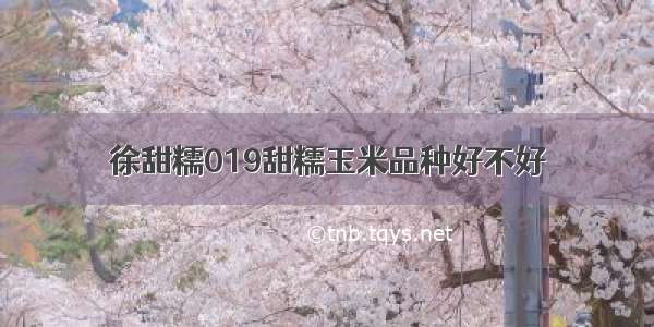 徐甜糯019甜糯玉米品种好不好