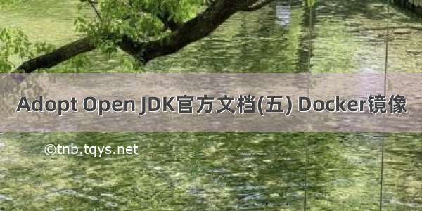 Adopt Open JDK官方文档(五) Docker镜像