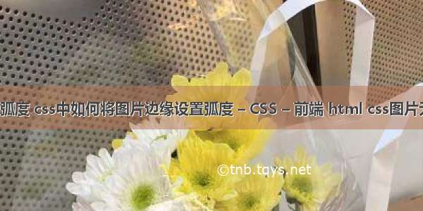 border边框弧度 css中如何将图片边缘设置弧度 – CSS – 前端 html css图片无缝滚动代码