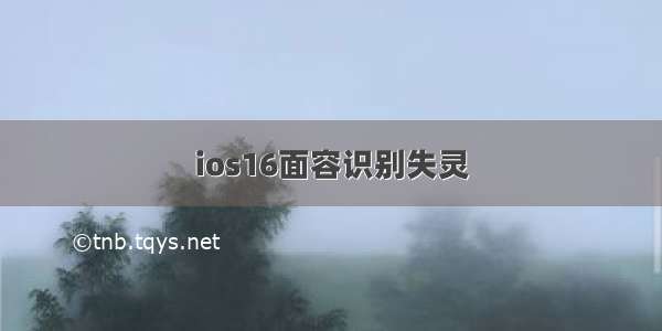 ios16面容识别失灵