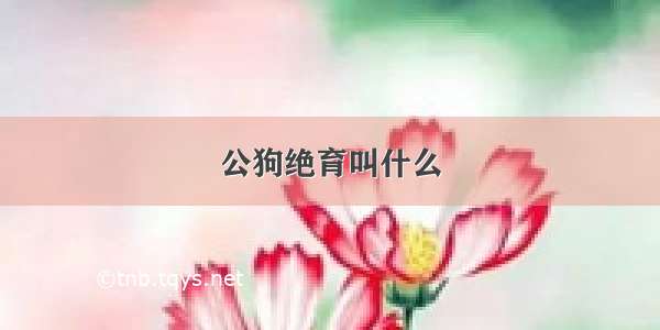 公狗绝育叫什么