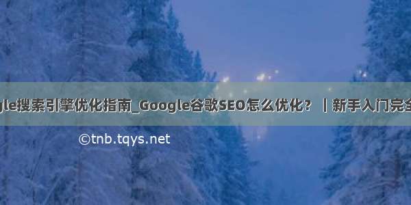 google搜索引擎优化指南_Google谷歌SEO怎么优化？｜新手入门完全指南