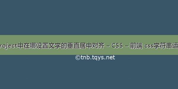 Project中在哪设置文字的垂直居中对齐 – CSS – 前端 css字符串运算