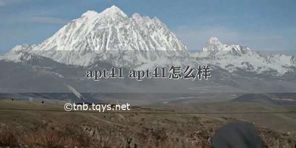 apt41 apt41怎么样