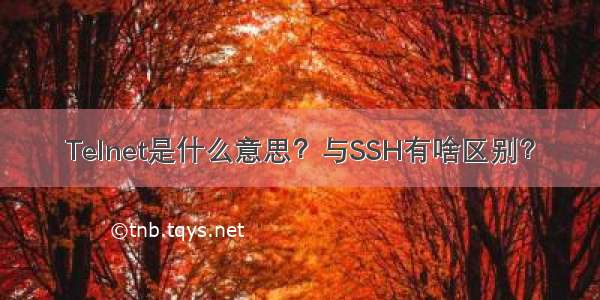 Telnet是什么意思？与SSH有啥区别？