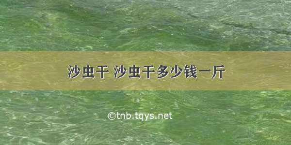 沙虫干 沙虫干多少钱一斤