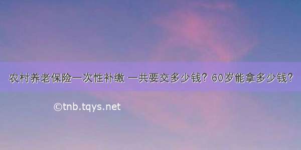 农村养老保险一次性补缴 一共要交多少钱？60岁能拿多少钱？