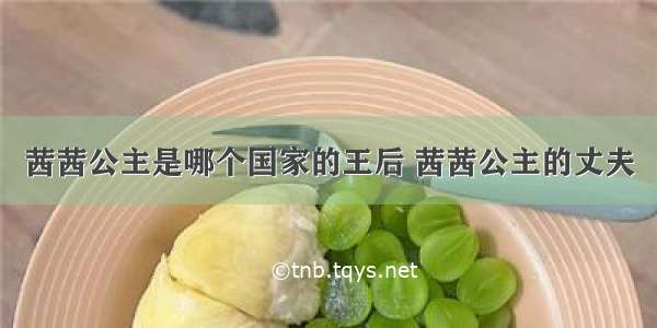 茜茜公主是哪个国家的王后 茜茜公主的丈夫