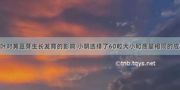 为了探究子叶对黄豆芽生长发育的影响 小明选择了60粒大小和质量相同的成熟黄豆种子 