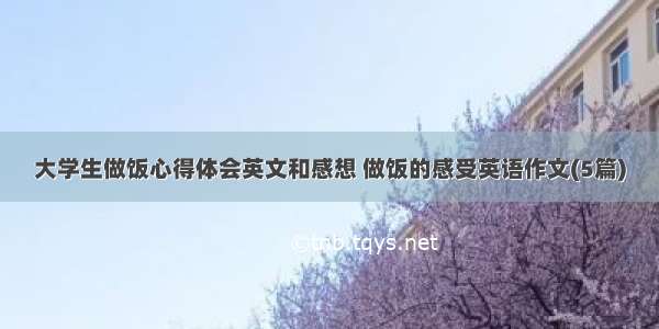 大学生做饭心得体会英文和感想 做饭的感受英语作文(5篇)