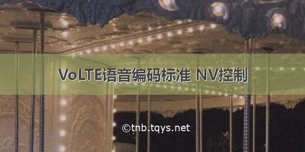 VoLTE语音编码标准 NV控制