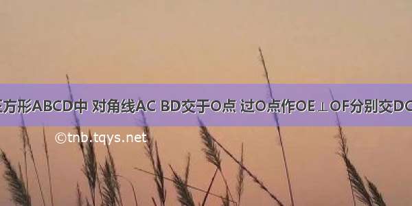 如图1 已知正方形ABCD中 对角线AC BD交于O点 过O点作OE⊥OF分别交DC于E 交BC于F