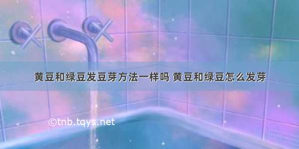 黄豆和绿豆发豆芽方法一样吗 黄豆和绿豆怎么发芽