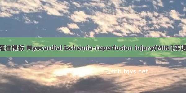 心肌的缺血再灌注损伤 Myocardial ischemia-reperfusion injury(MIRI)英语短句 例句大全