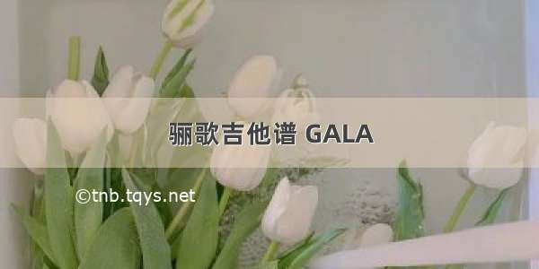 骊歌吉他谱 GALA