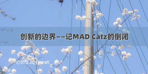 创新的边界——记MAD Catz的倒闭