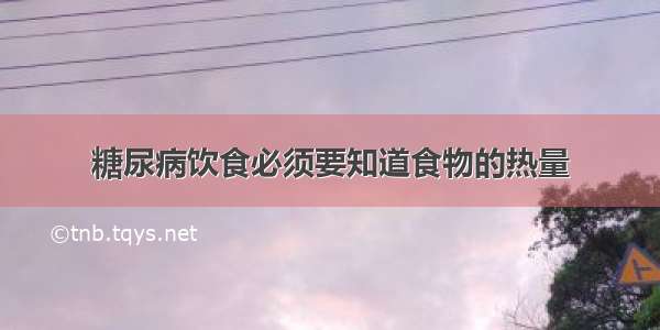 糖尿病饮食必须要知道食物的热量