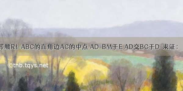 如图 设点M是等腰Rt△ABC的直角边AC的中点 AD⊥BM于E AD交BC于D．求证：∠AMB=∠CM