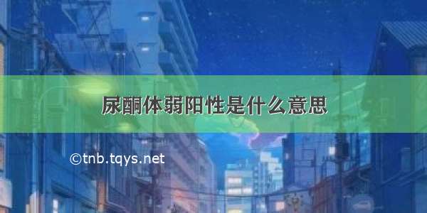 尿酮体弱阳性是什么意思